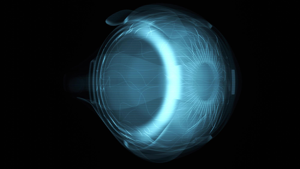Digital Retina Imaging  South Portland, ME